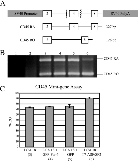 FIG. 10.