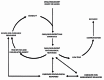Figure 1)