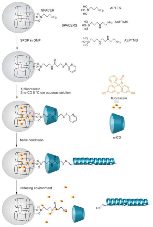 Scheme 1