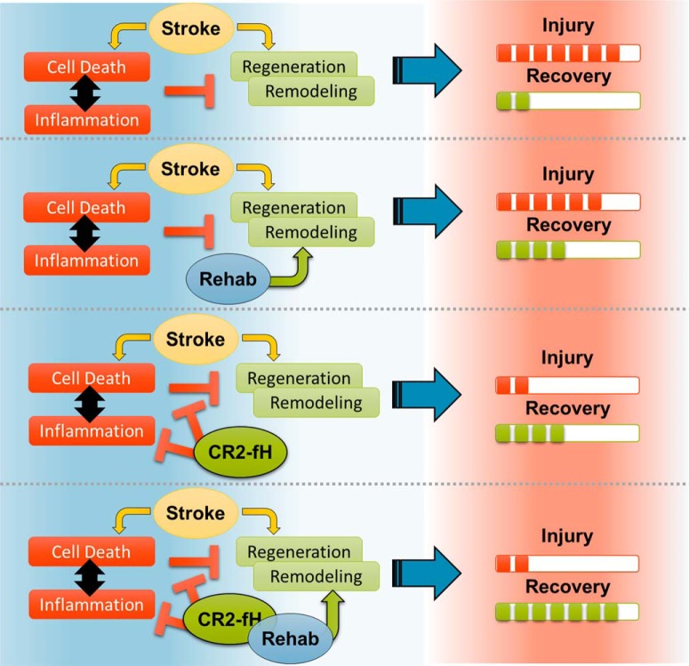 Figure 11.