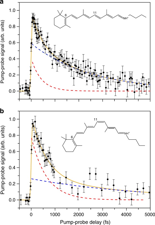 Fig. 6