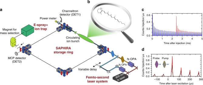 Fig. 1