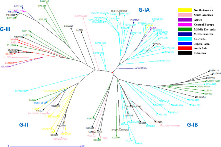 FIGURE 4