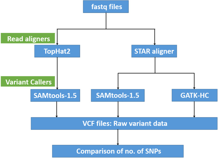 FIGURE 1