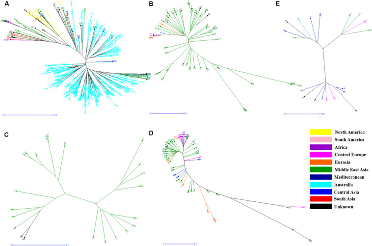 FIGURE 3