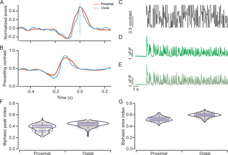 Figure 3—figure supplement 2.