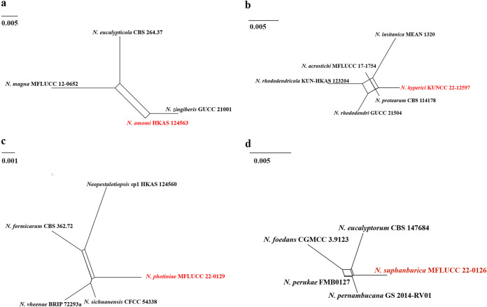 FIG 2