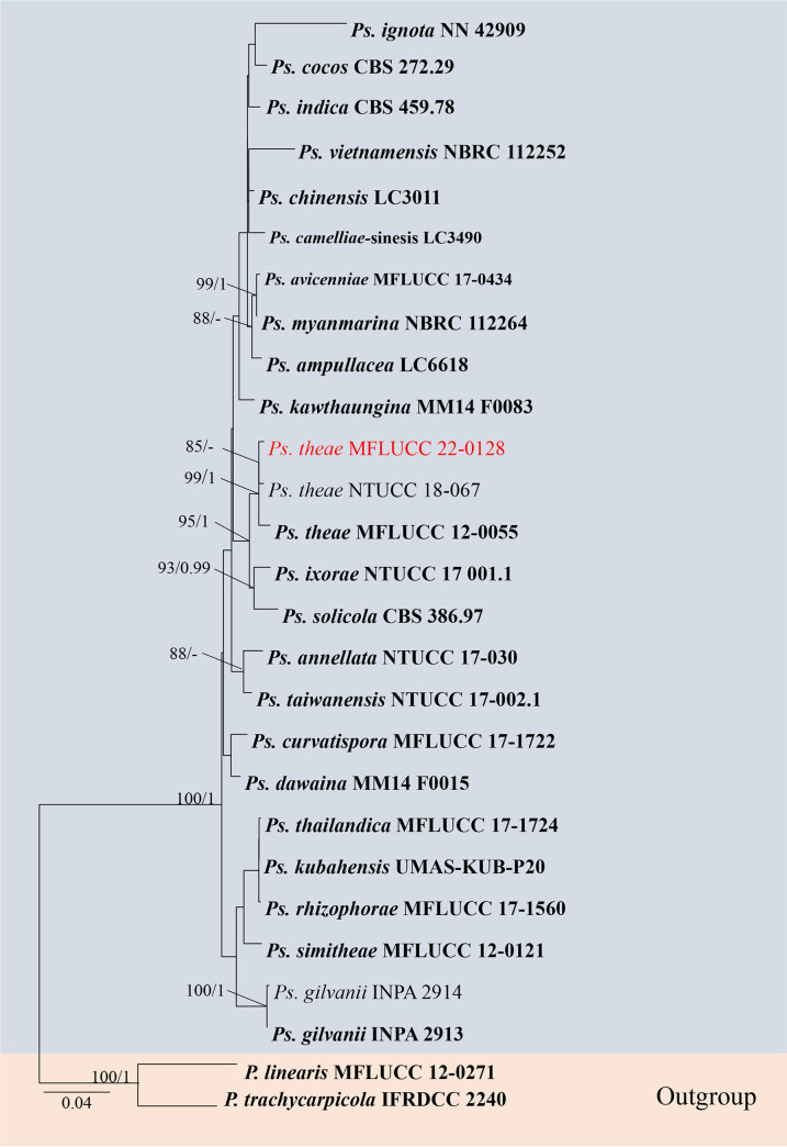 FIG 14