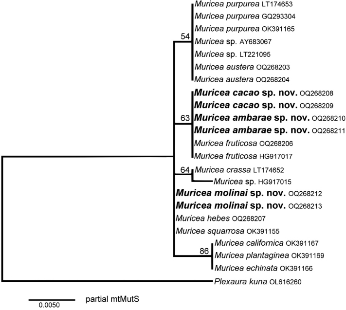 Figure 10.