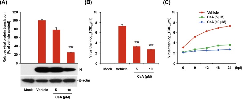 Fig. 9