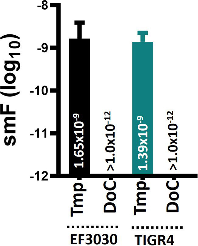 FIG 3