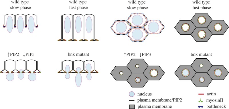 Figure 9.