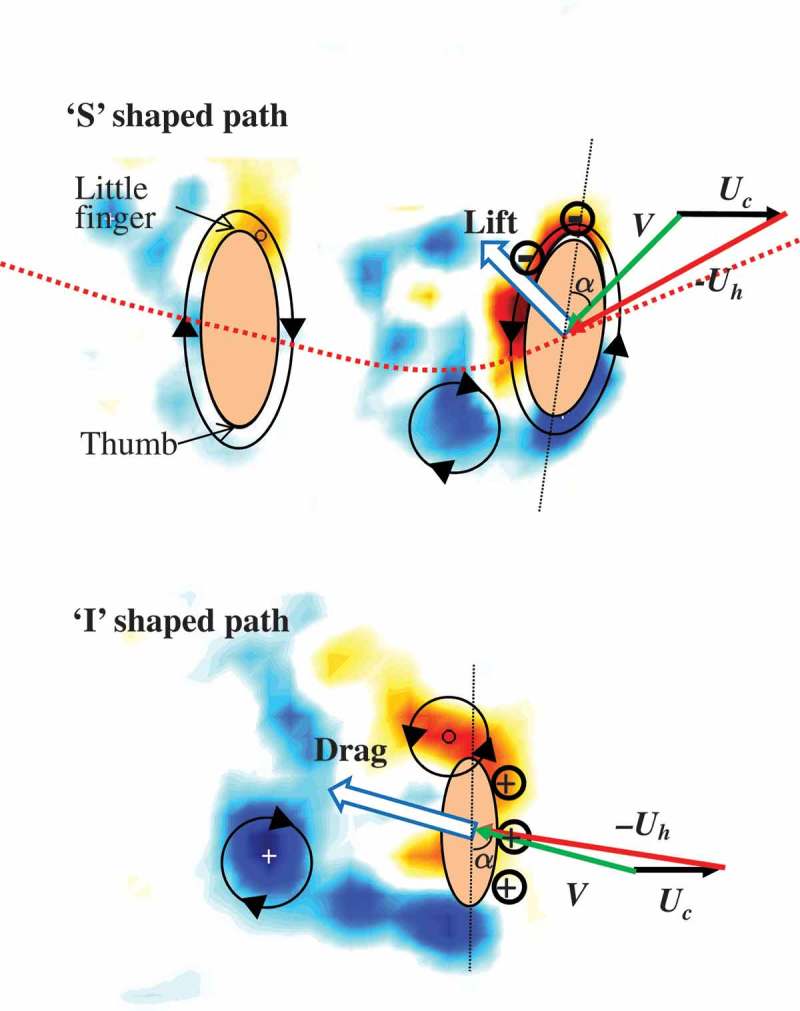 Figure 11. 