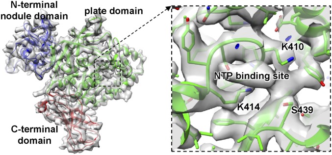 Fig. 3.