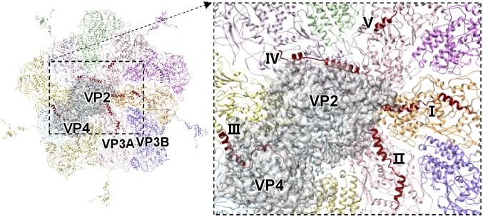 Fig. 4.