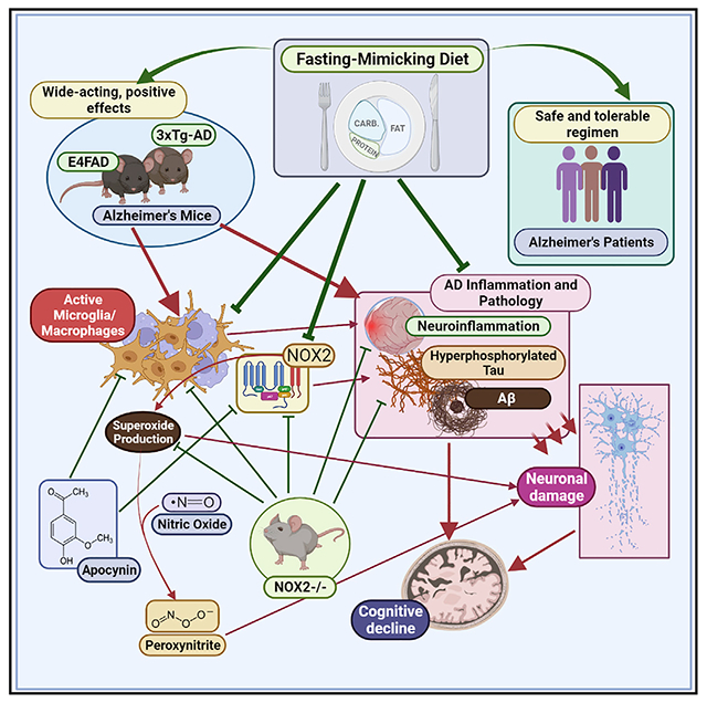 graphic file with name nihms-1839189-f0008.jpg