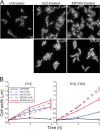 FIG. 3.