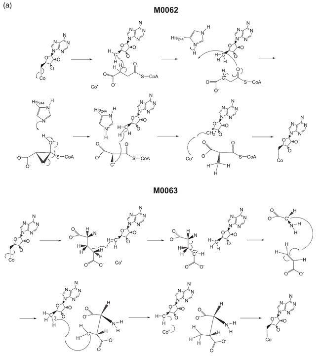 Figure 2(a)