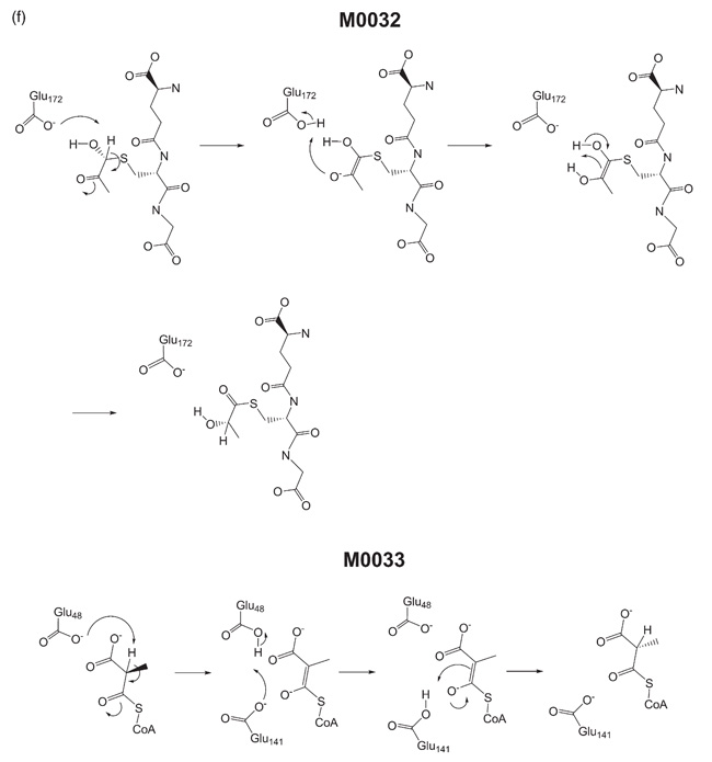 Figure 2(f)