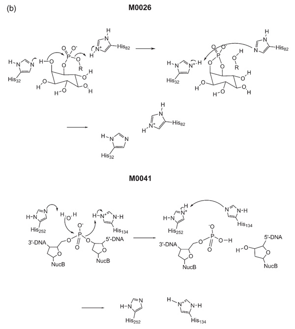 Figure 2(b)