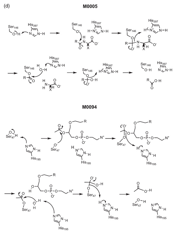 Figure 2(d)