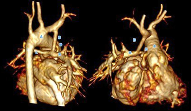 Figure 20