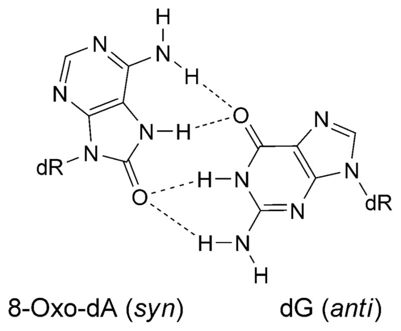 Fig. 8