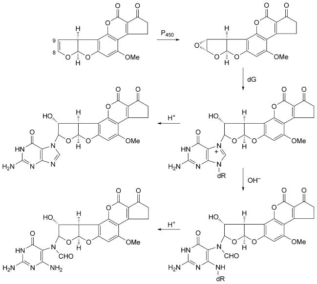 Scheme 5