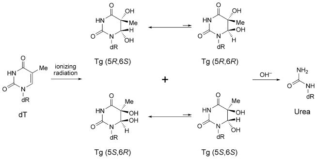 Scheme 4