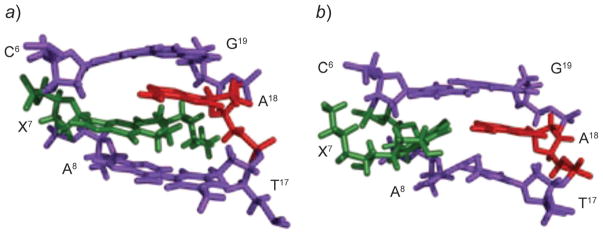 Fig. 22