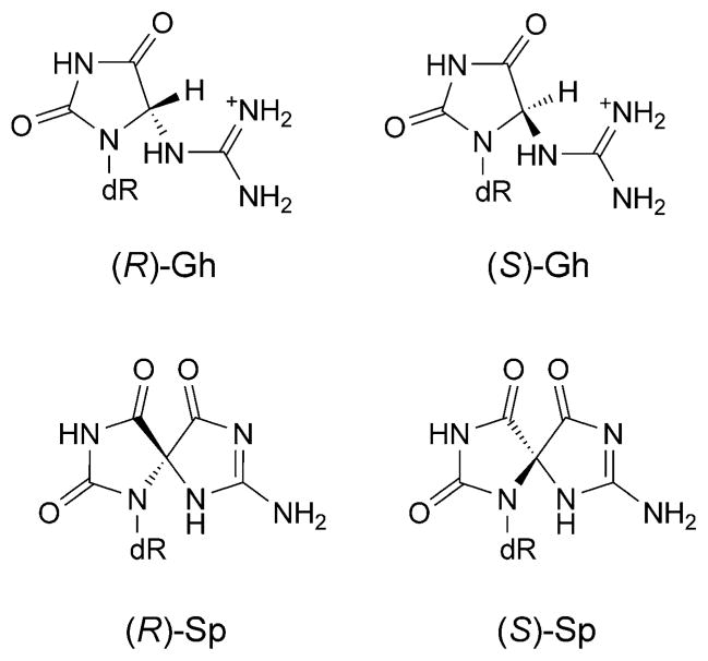 Fig. 24