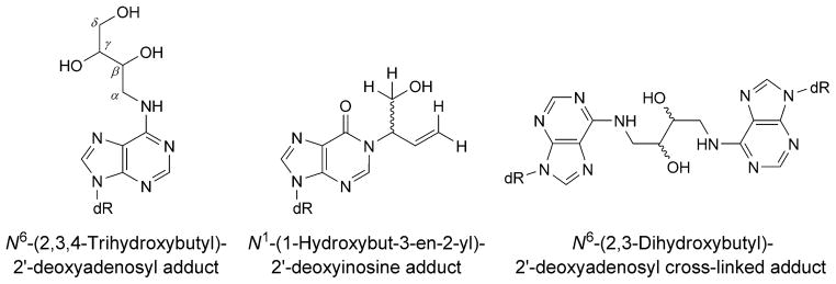 Fig. 19