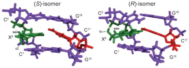 Fig. 20