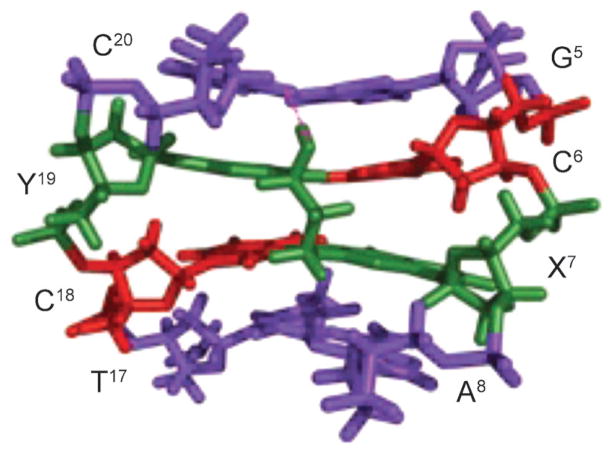 Fig. 26