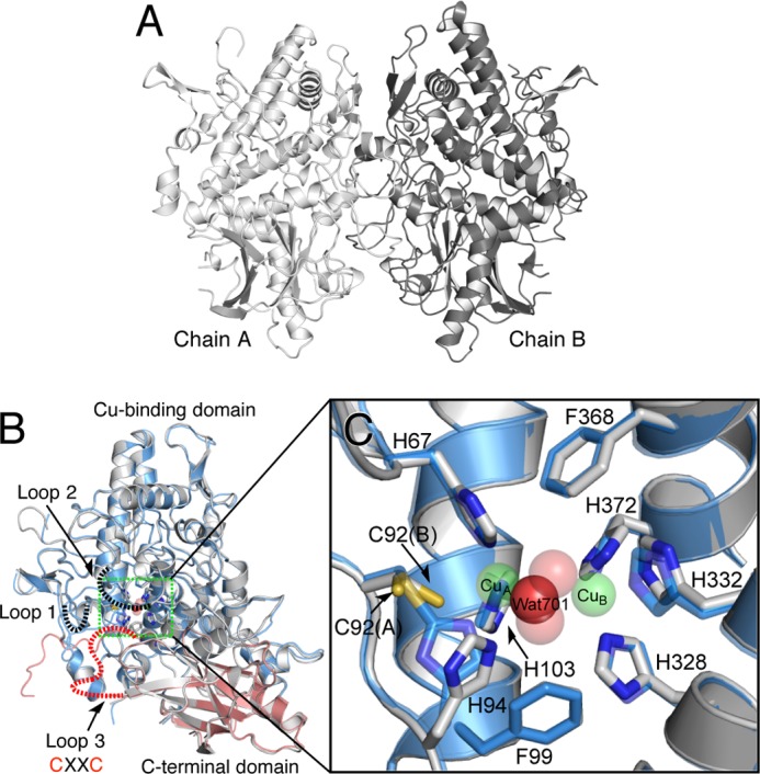 FIGURE 10.