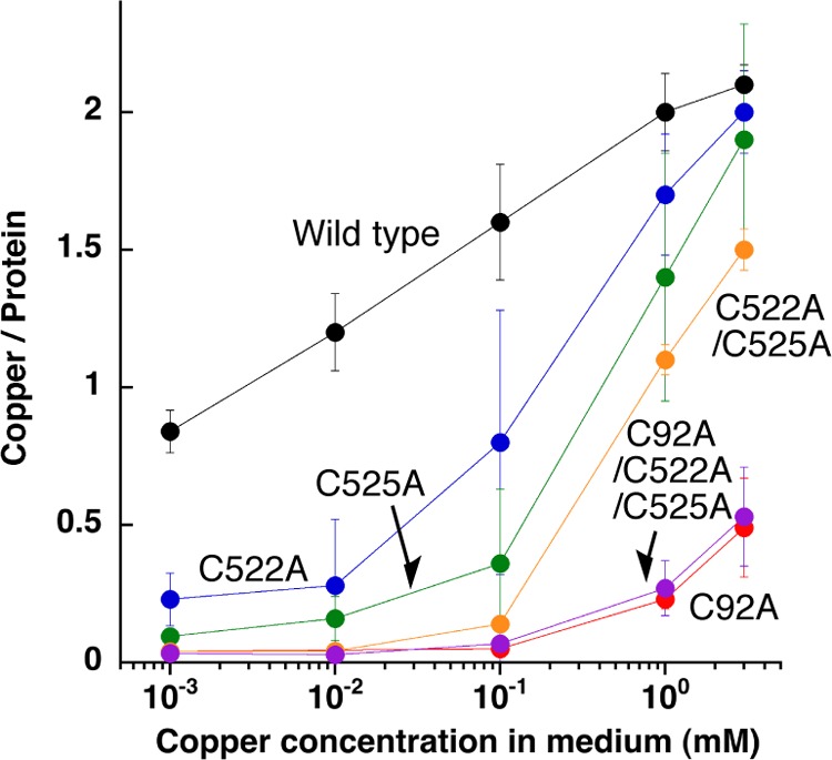 FIGURE 12.