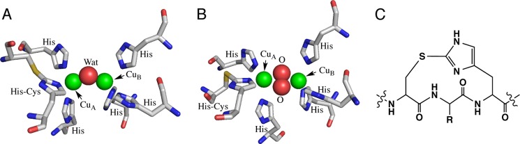 FIGURE 1.