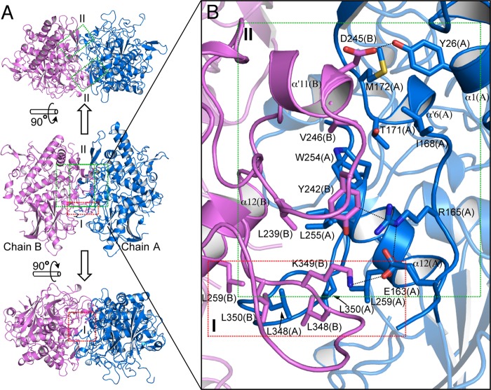 FIGURE 3.