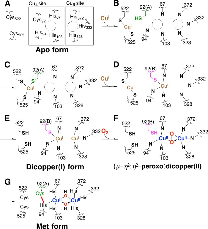 FIGURE 13.