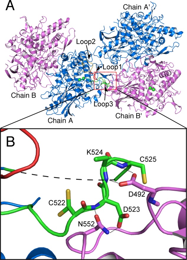 FIGURE 5.