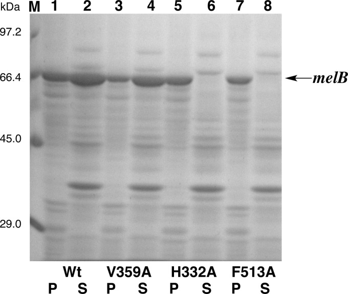 FIGURE 7.