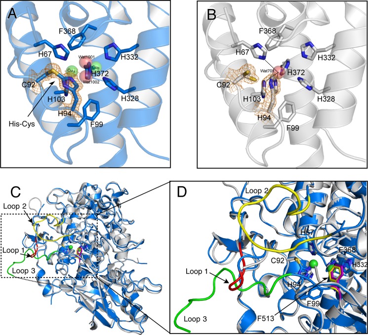 FIGURE 11.