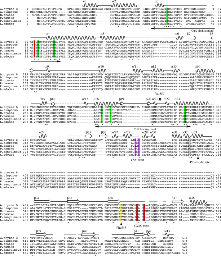 FIGURE 4.