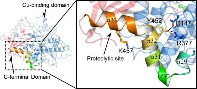 FIGURE 9.