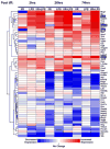 Fig.1