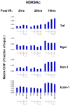 Fig.4