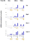 Fig.2