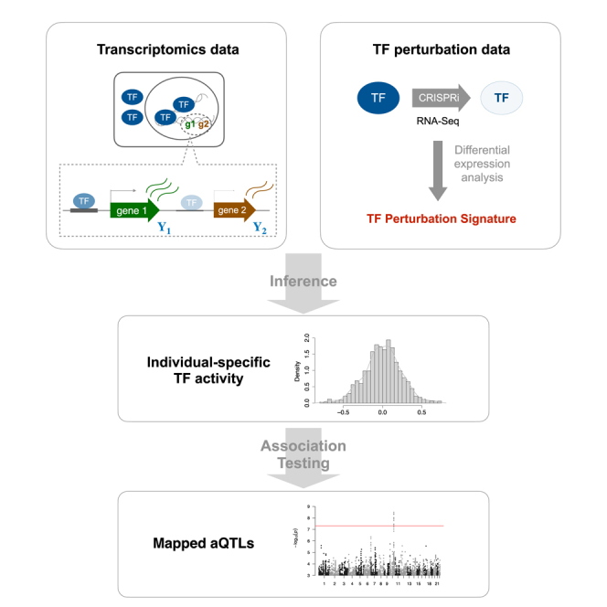 graphic file with name fx1.jpg