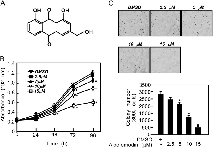 Fig. 2.