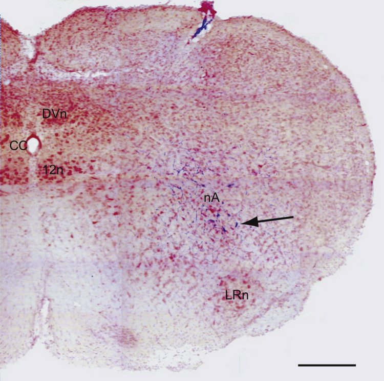 Fig. 6